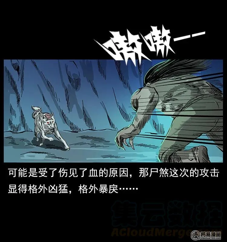 118 天宝仙牌 第49页