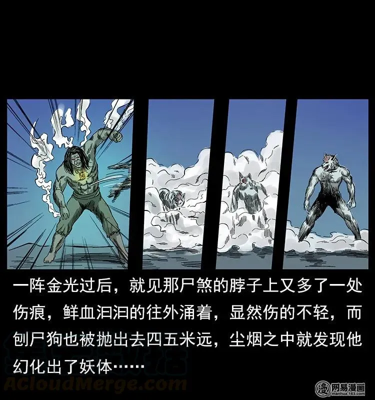 118 天宝仙牌 第53页