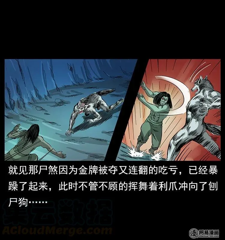 118 天宝仙牌 第61页