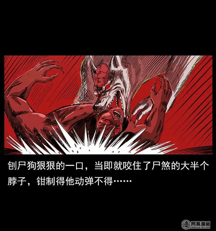 118 天宝仙牌 第66页