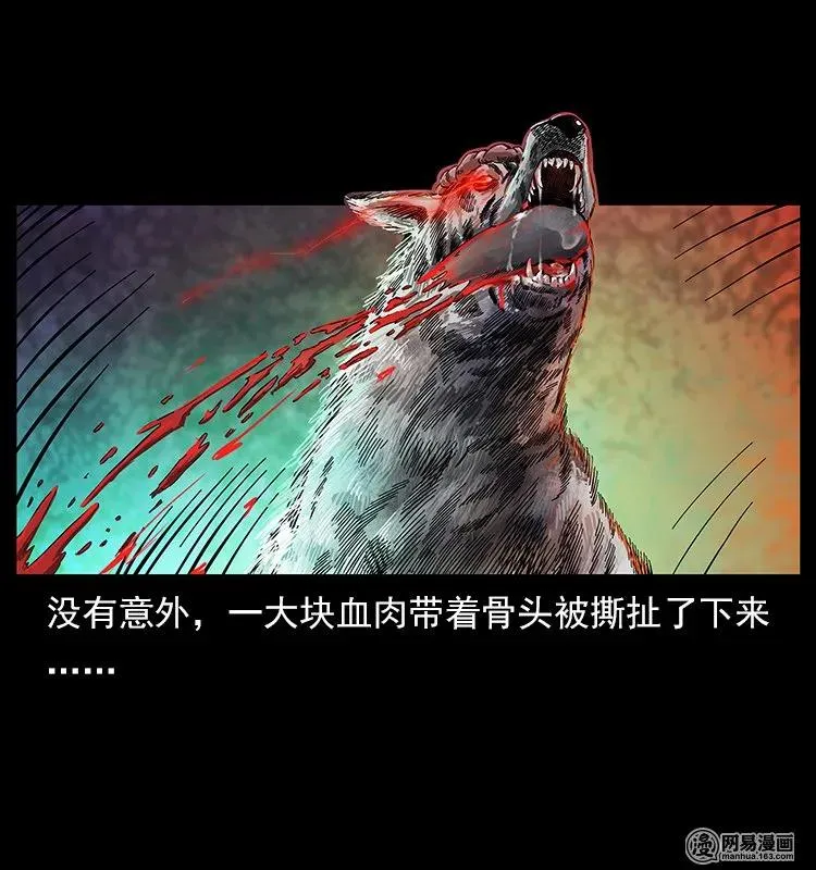 118 天宝仙牌 第67页