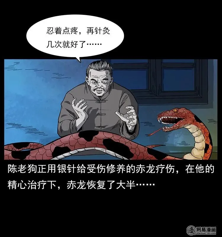 119 殃 第3页