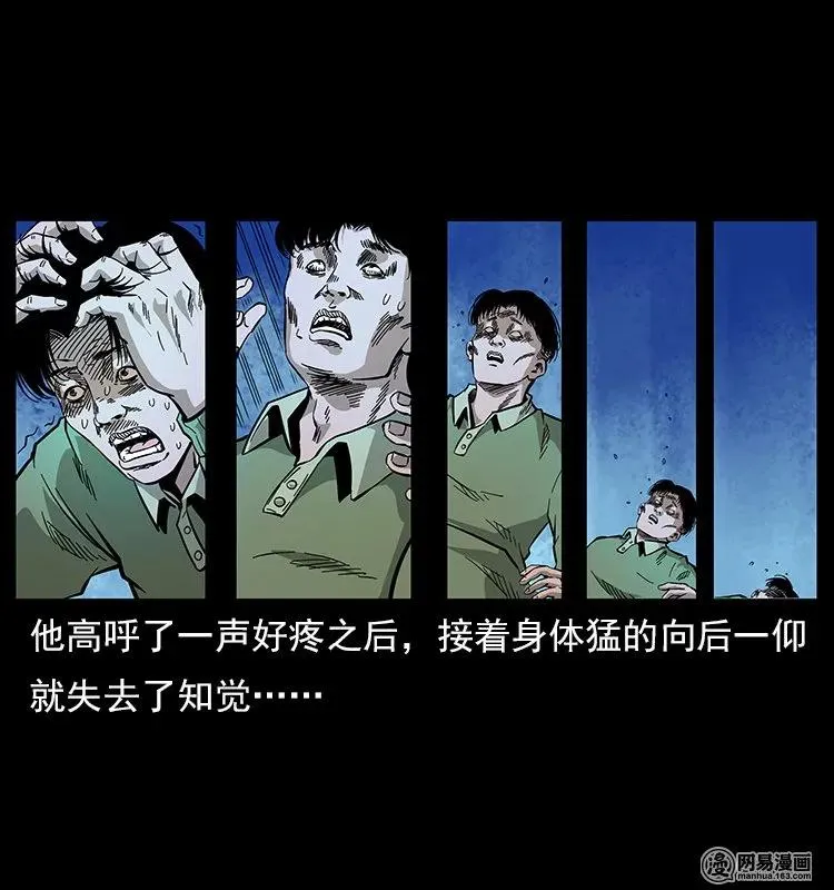 119 殃 第44页