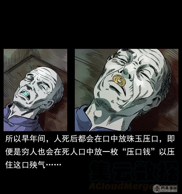 119 殃 第49页
