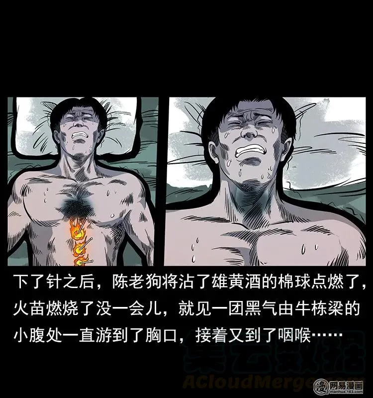 119 殃 第57页