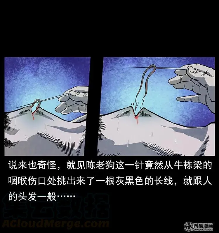 119 殃 第65页