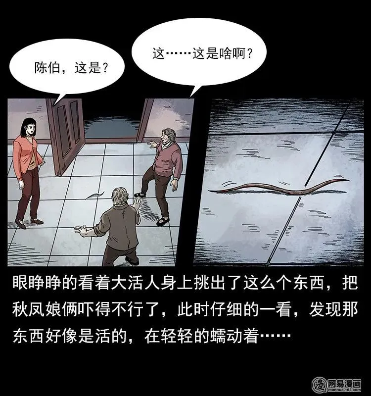 119 殃 第67页