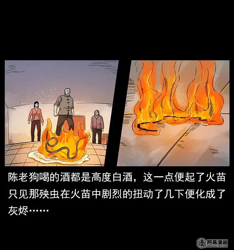 119 殃 第70页