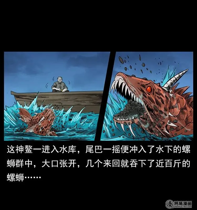 121 螺蛳 第38页