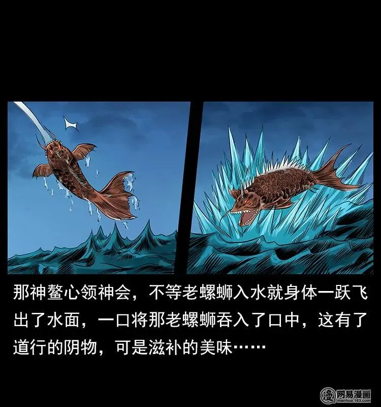 121 螺蛳 第56页