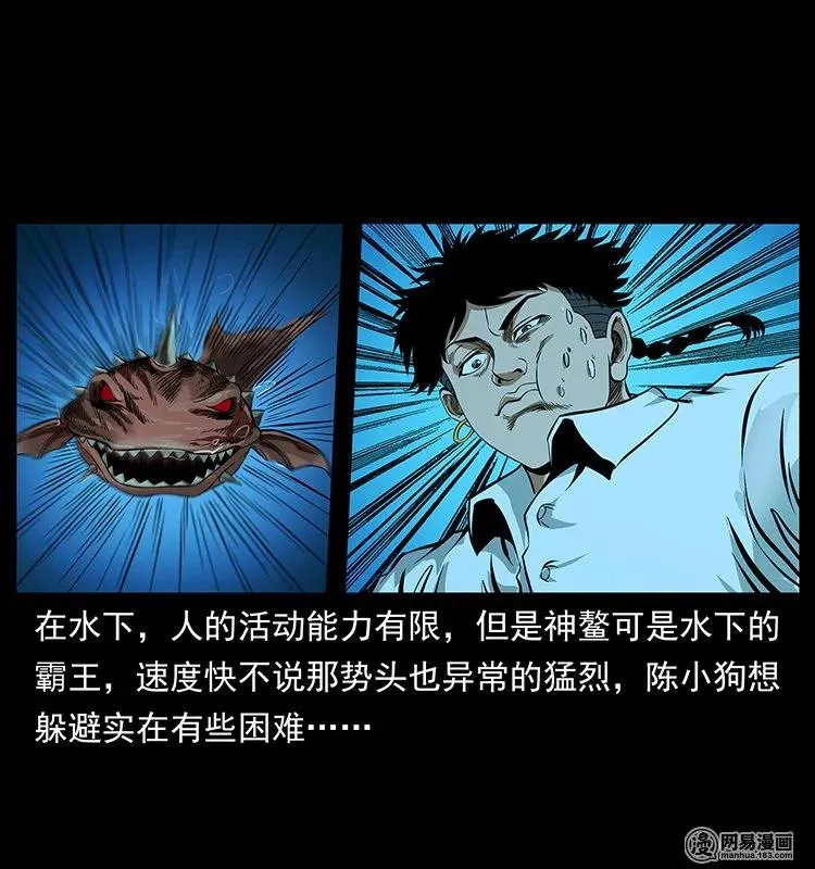 124 神鳌 第19页