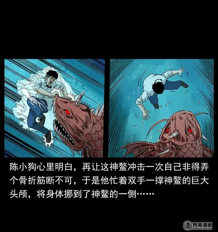 124 神鳌 第26页