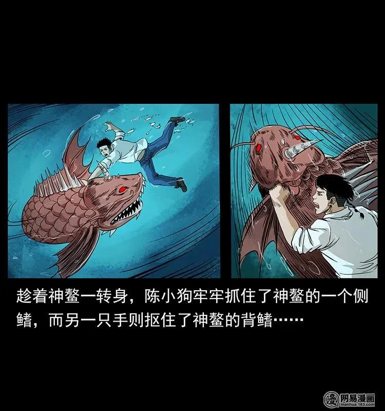 124 神鳌 第27页