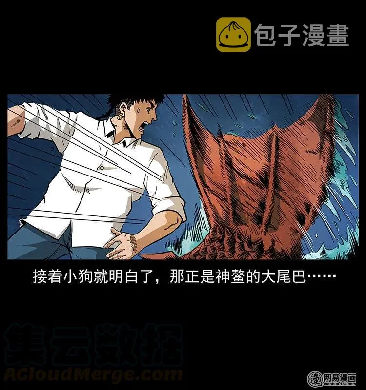 124 神鳌 第57页