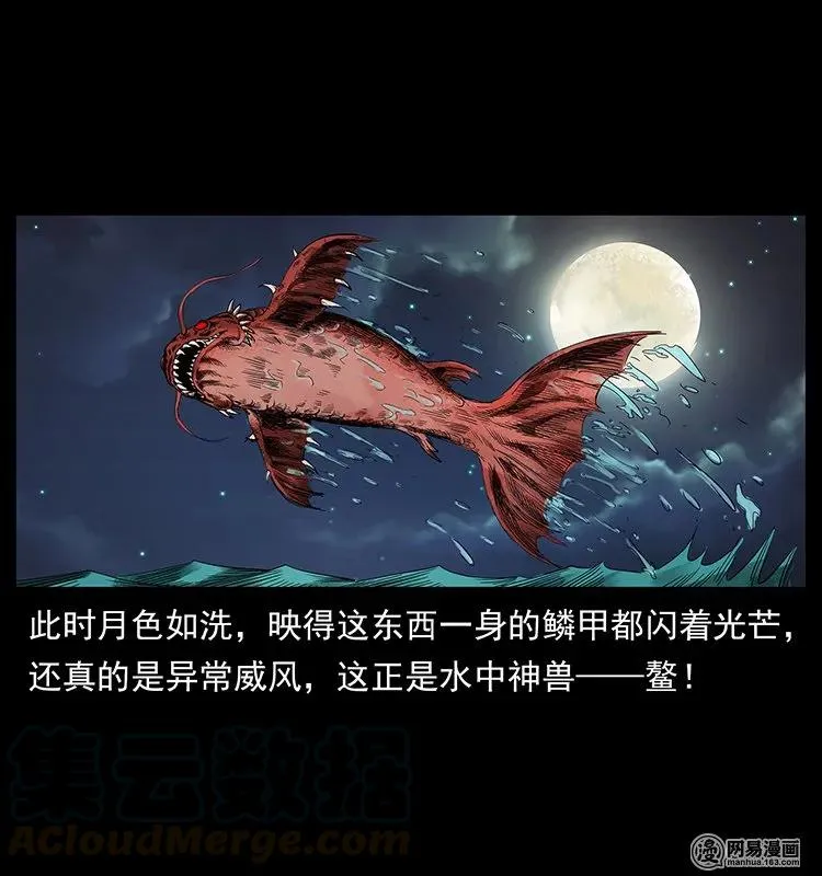 129 通天鼋 第13页