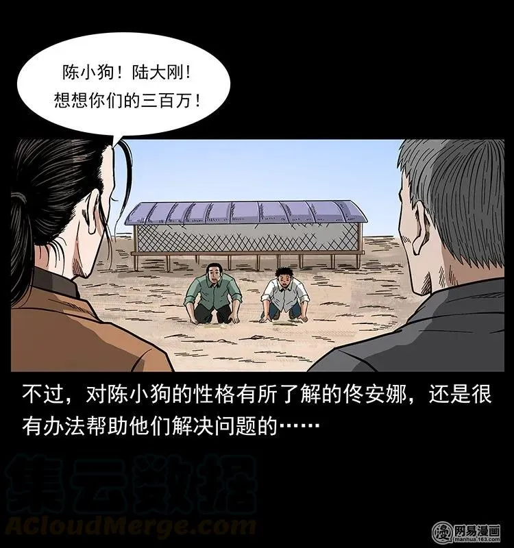129 通天鼋 第41页