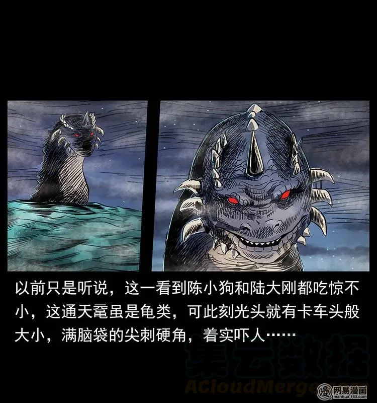 129 通天鼋 第77页