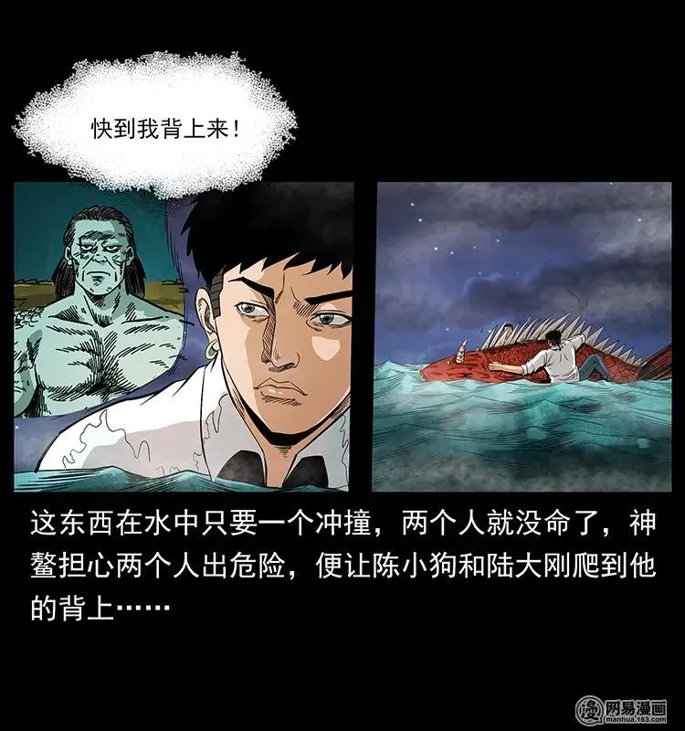 129 通天鼋 第78页