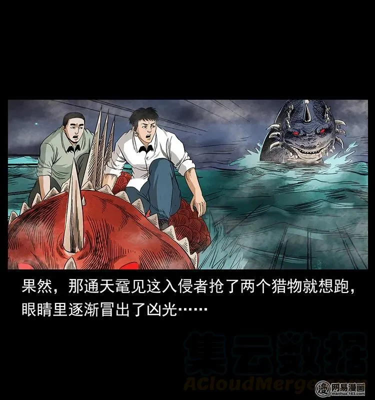 129 通天鼋 第81页