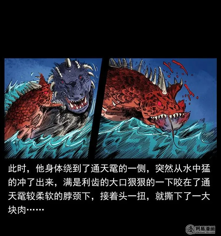 130 大战通天鼋 第24页