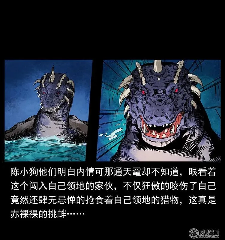130 大战通天鼋 第32页