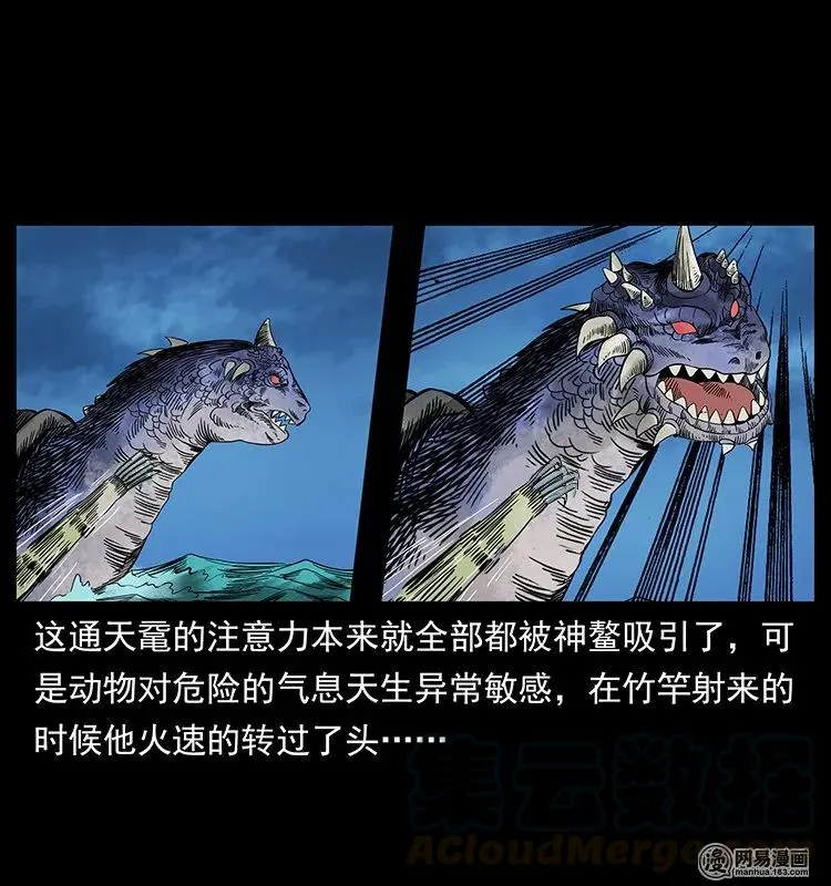 130 大战通天鼋 第61页