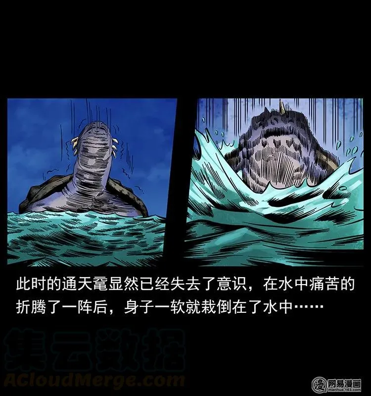 130 大战通天鼋 第69页