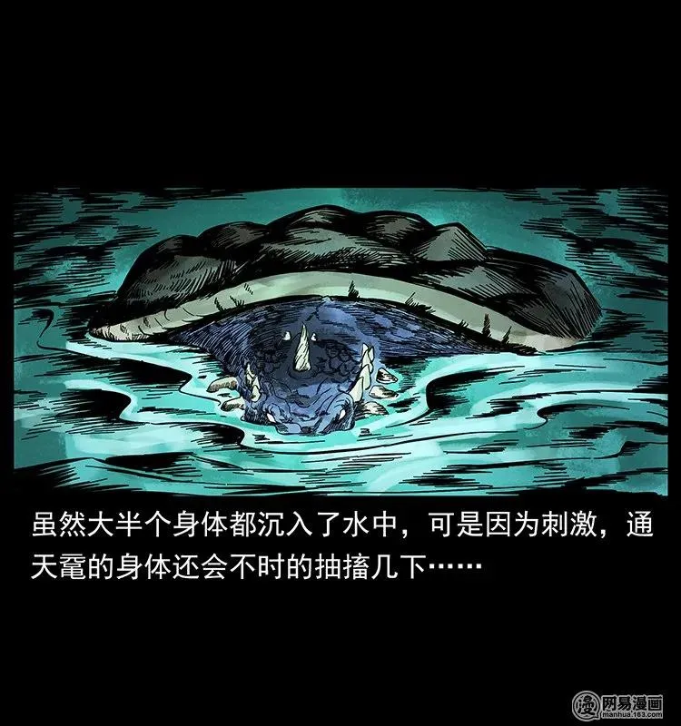 130 大战通天鼋 第70页