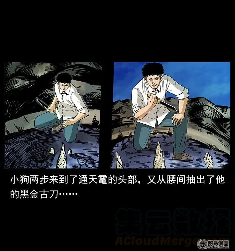 130 大战通天鼋 第73页