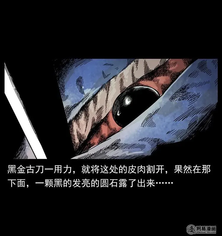 130 大战通天鼋 第75页