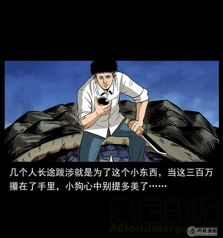 130 大战通天鼋 第77页