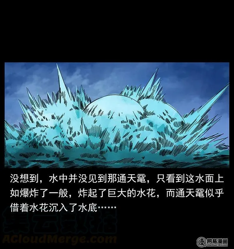 130 大战通天鼋 第85页