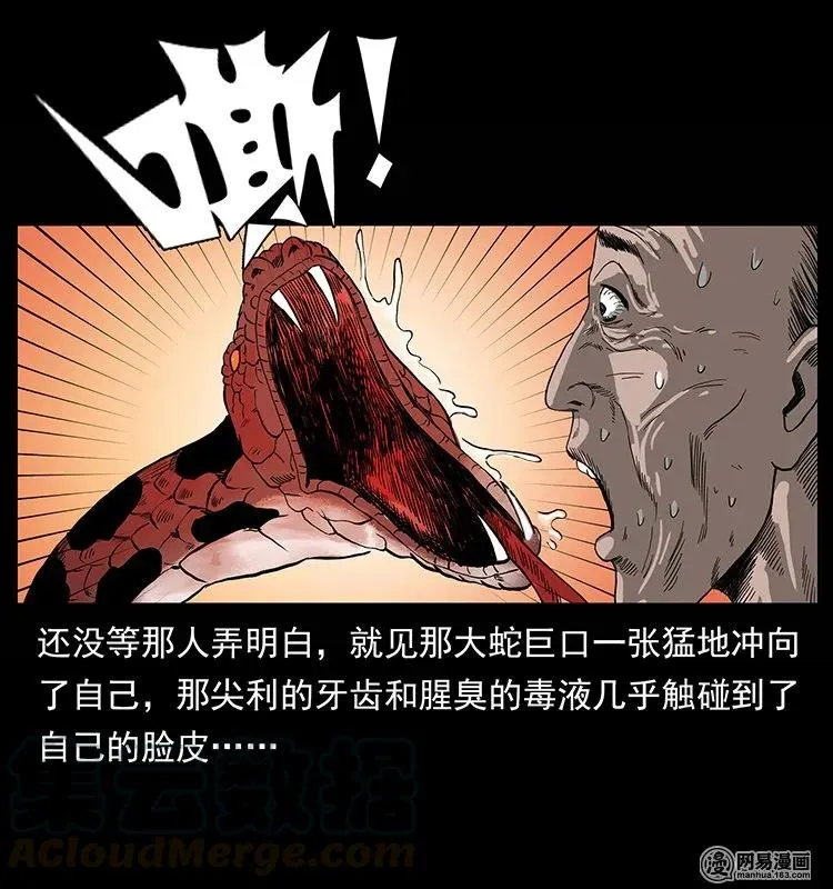 132 棺陵村诡事 第81页