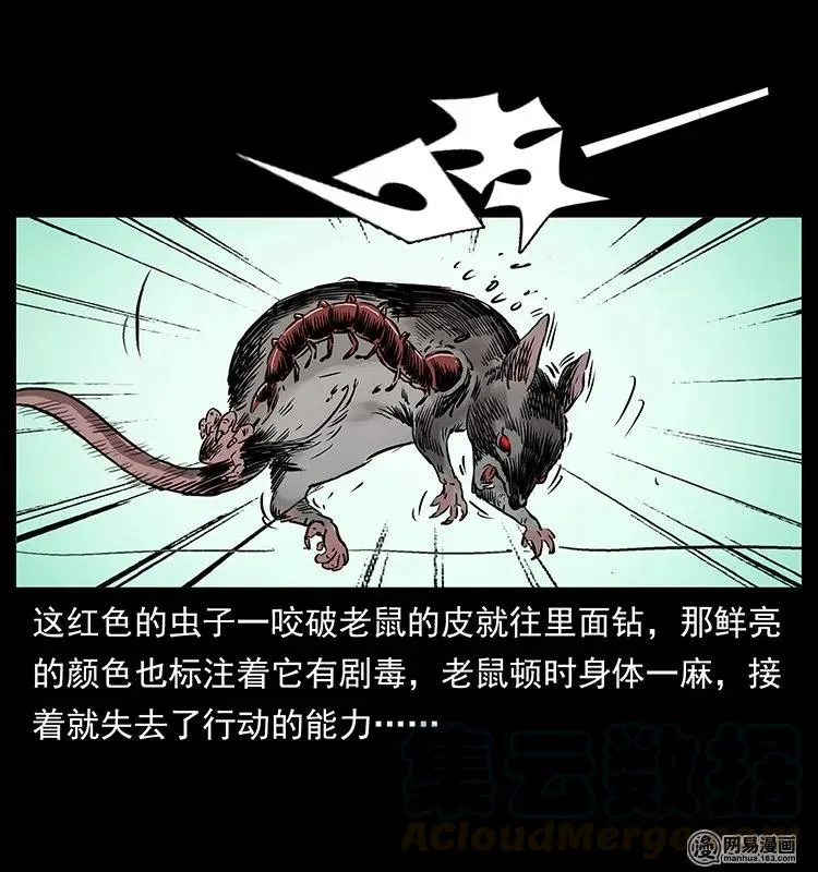 133 危机初现 第81页
