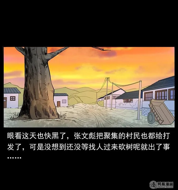 135 猛鬼插树沟 第31页