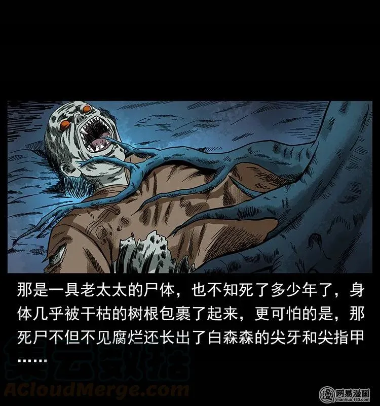135 猛鬼插树沟 第73页