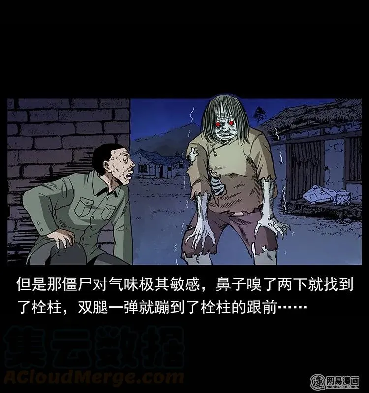 135 猛鬼插树沟 第81页