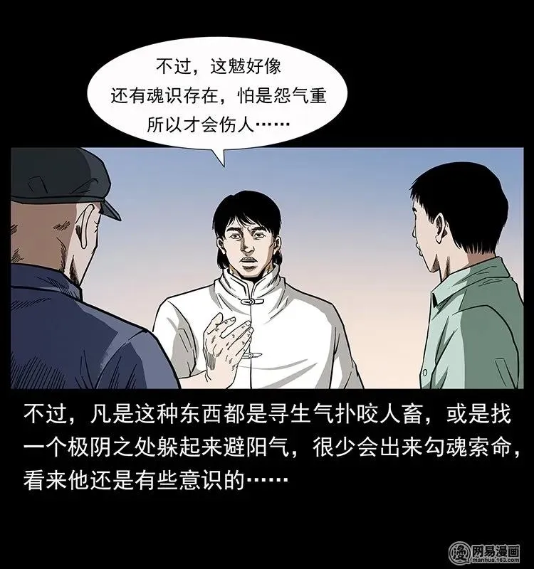 136 插树沟尸魃 第28页