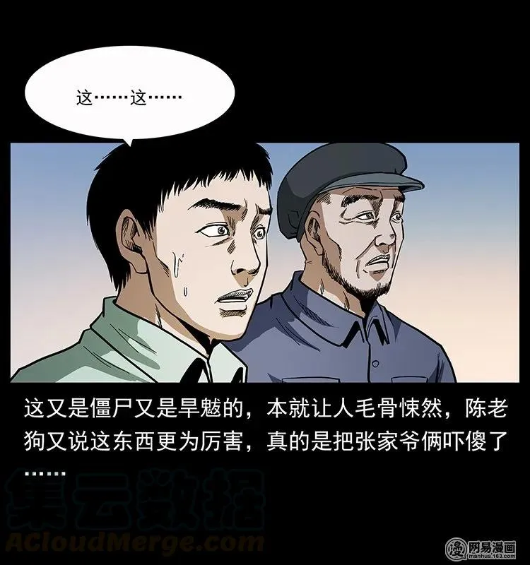 136 插树沟尸魃 第29页