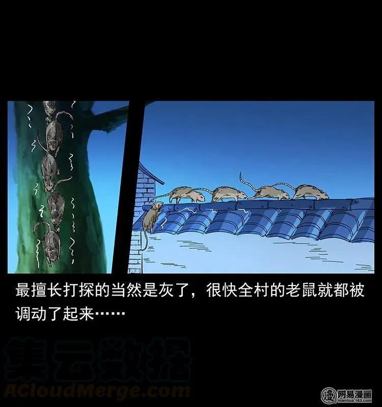 136 插树沟尸魃 第33页