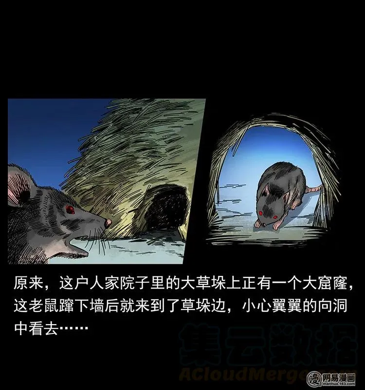 136 插树沟尸魃 第37页