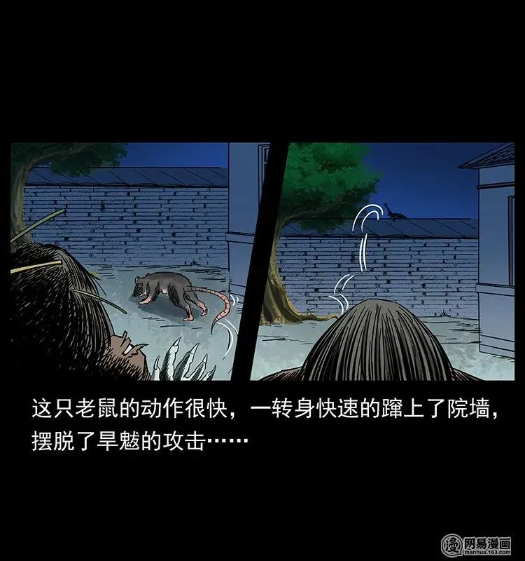 136 插树沟尸魃 第40页