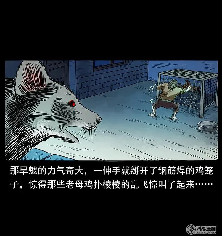 136 插树沟尸魃 第43页