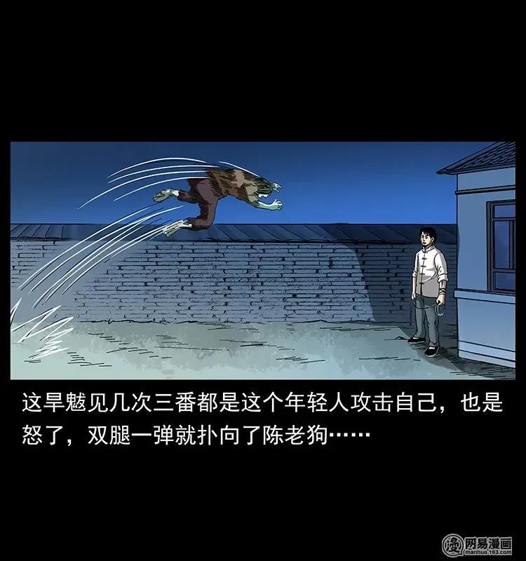 136 插树沟尸魃 第51页