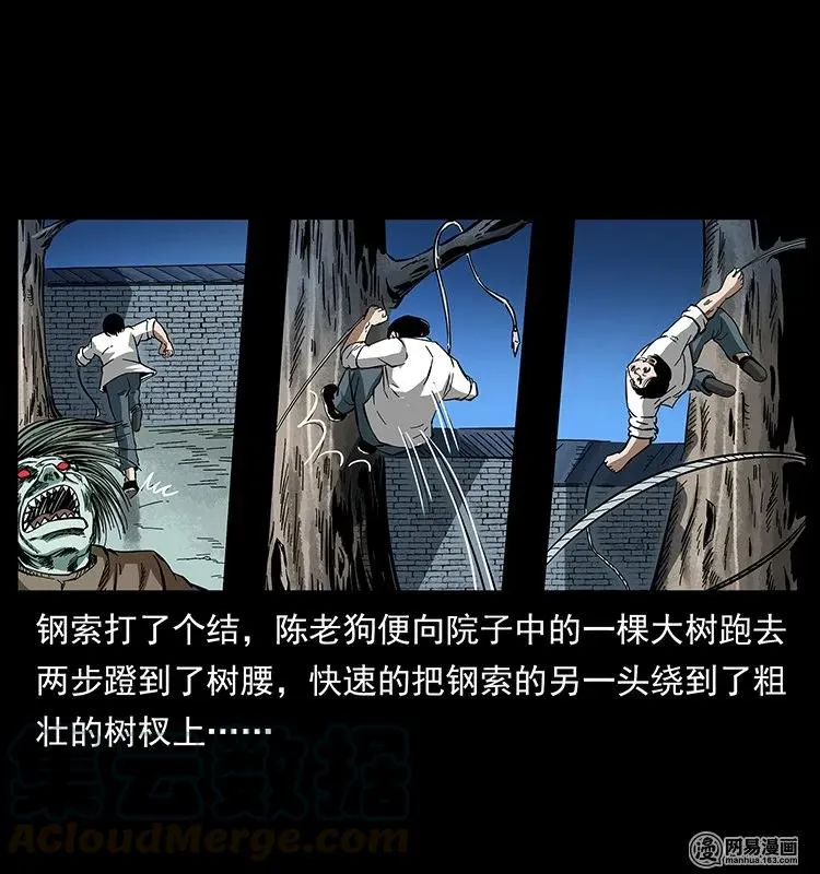 136 插树沟尸魃 第57页