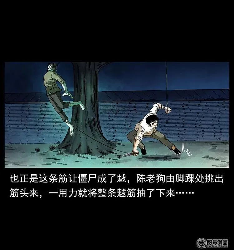 136 插树沟尸魃 第68页