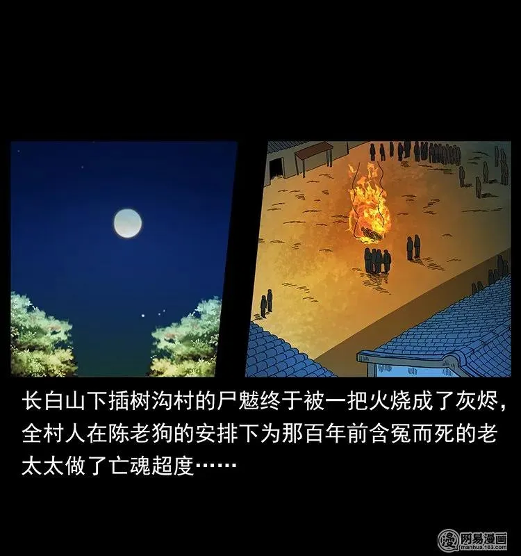 137 长白山毛脸怪 第2页