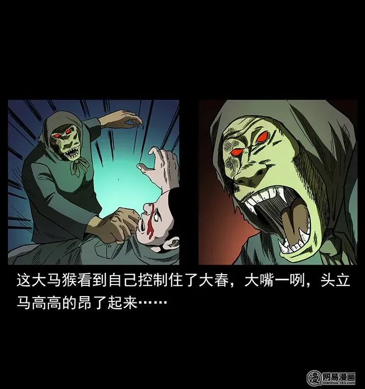 137 长白山毛脸怪 第72页