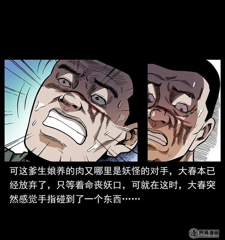 137 长白山毛脸怪 第74页