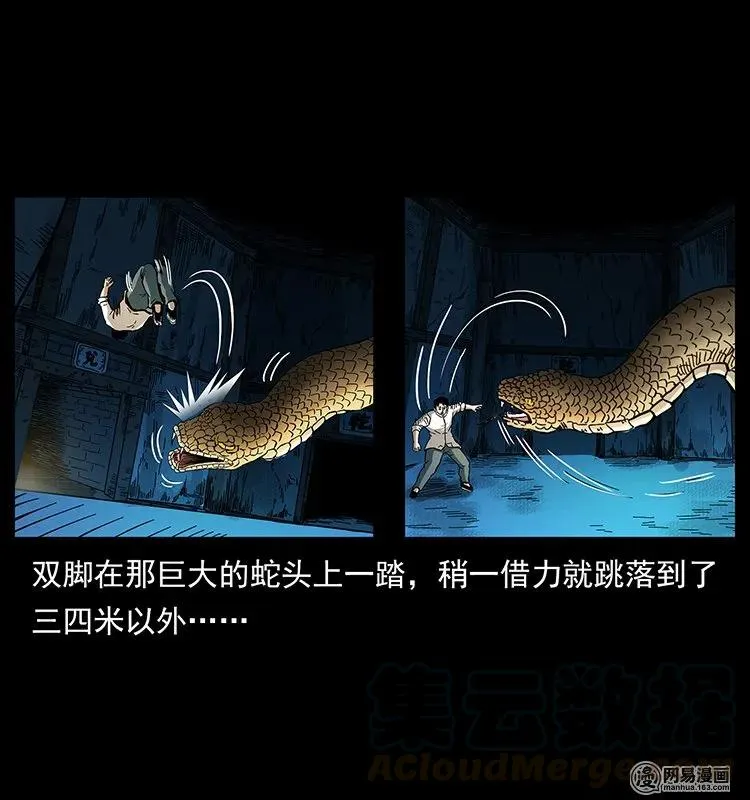 139 巨兽凶蟒 第17页
